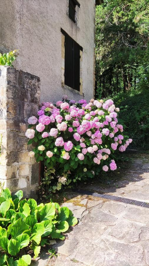 La Fontaine Du Mas Bed & Breakfast Thiviers ภายนอก รูปภาพ
